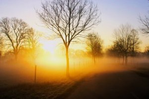 jarní úsvit Mikulčice | Penzion Soutok